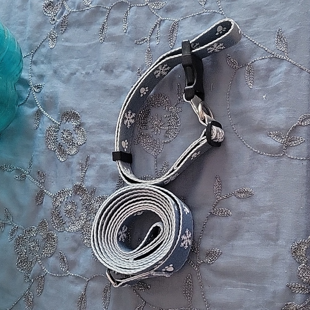 Unbranded Dog Leash and Harness